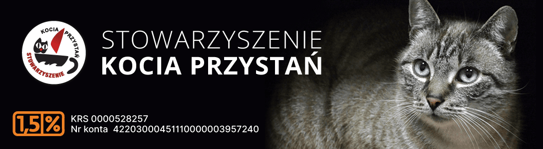 Fundacji VetApp przekazała 1000 zł Stowarzyszeniu „Kocia Przystań”