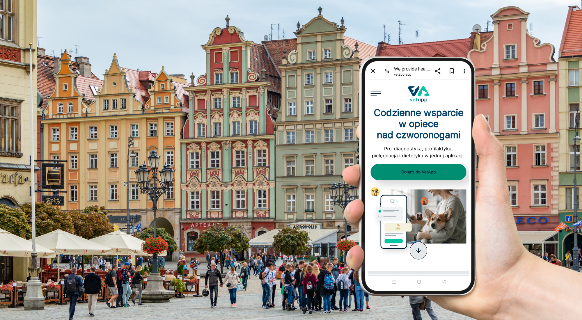 Miasto Wrocław nawiązuje współpracę z Fundacją VetApp i darmowo udostępnia mieszkańcom aplikację wspierającą opiekę nad zwierzętami