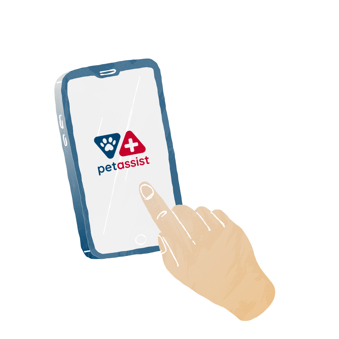 Projekt bez nazwy (6)